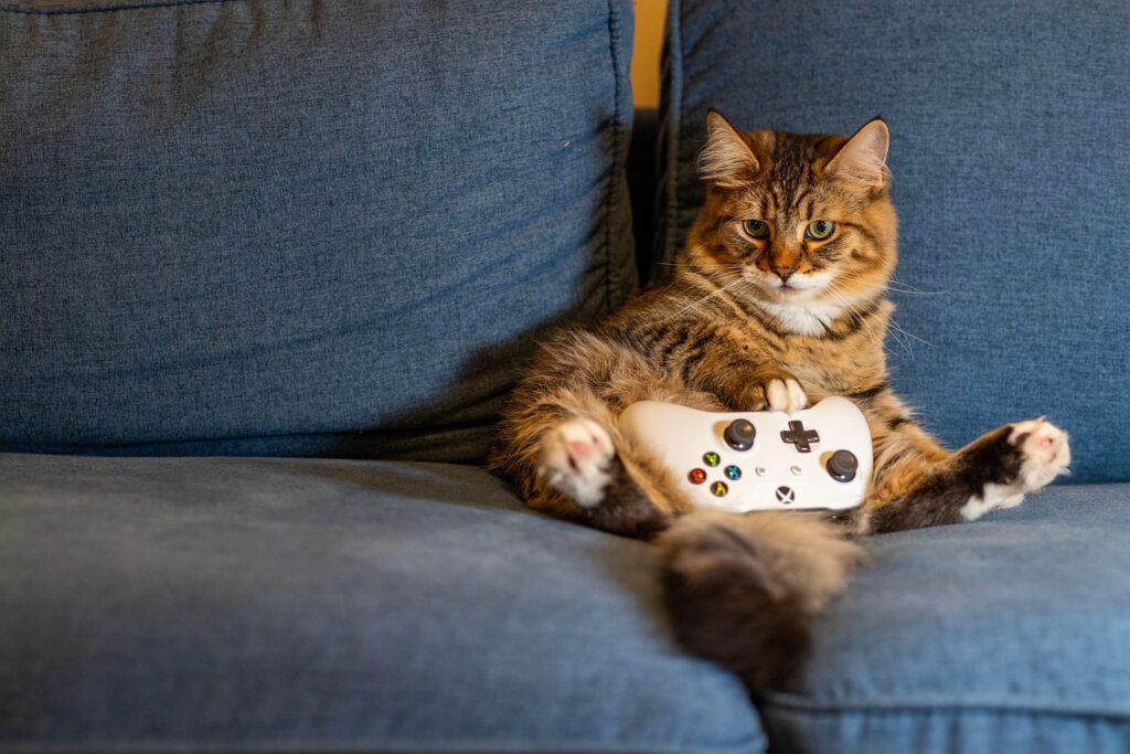 gaming-chat